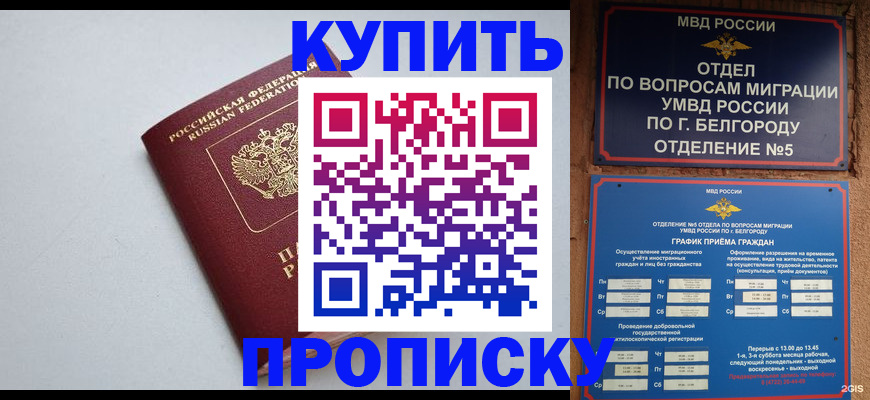 прописка регистрация в Касимове